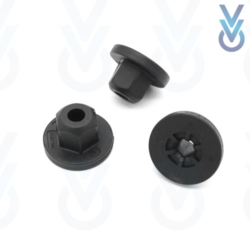 10x vvo rear - &, trim